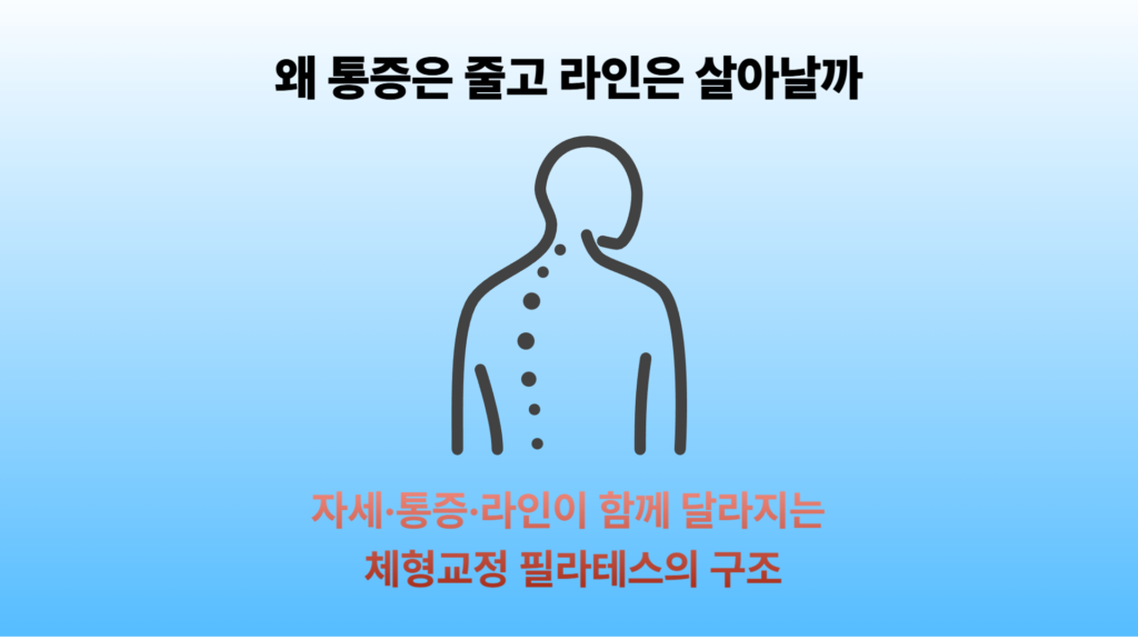 체형교종 팔러태수